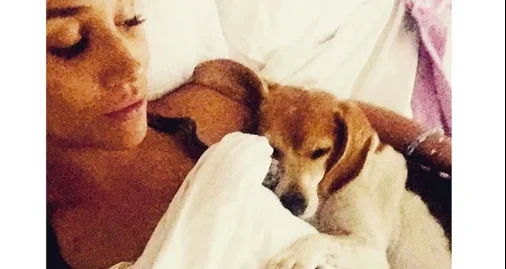 Il cane reale di Megan e Henry